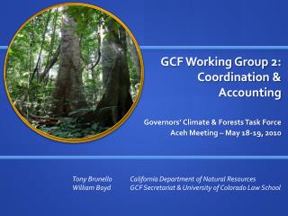 GCF Working Group 2: Coordination &amp; Accounting