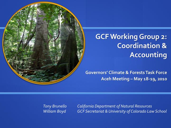 gcf working group 2 coordination accounting