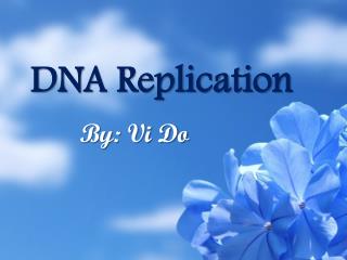 DNA Replication