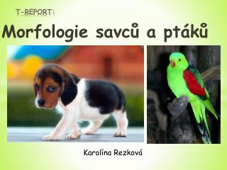 t report