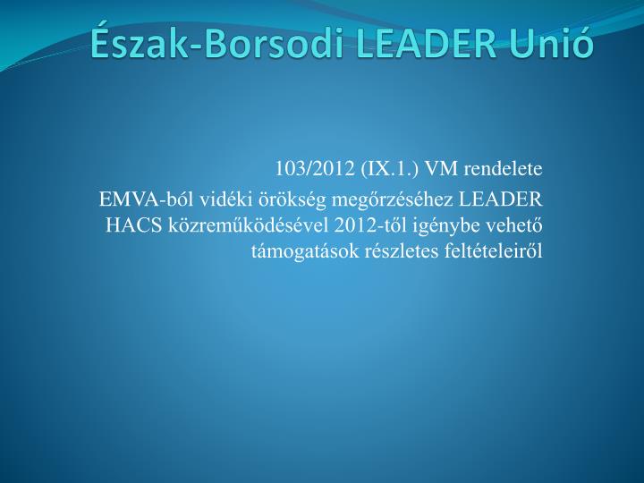 szak borsodi leader uni