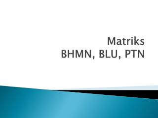 matriks bhmn blu ptn