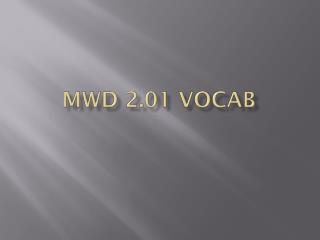 MWD 2.01 Vocab