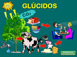 gl cidos