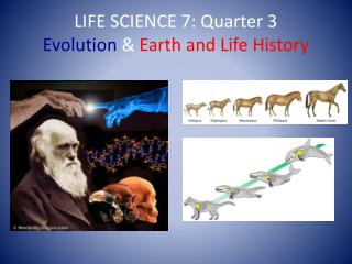 LIFE SCIENCE 7: Quarter 3 Evolution &amp; Earth and Life History