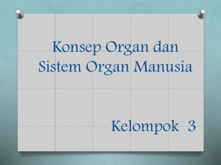konsep organ dan sistem organ manusia kelompok 3