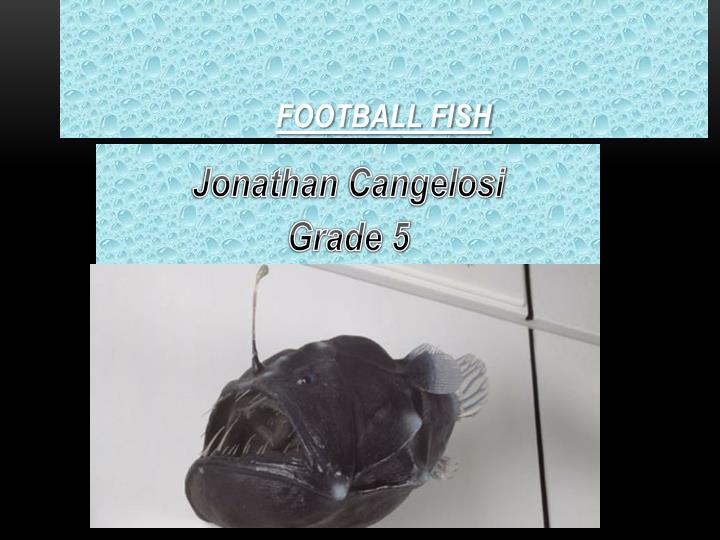 football fish