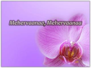 Mehervaanaa , Mehervaanaa