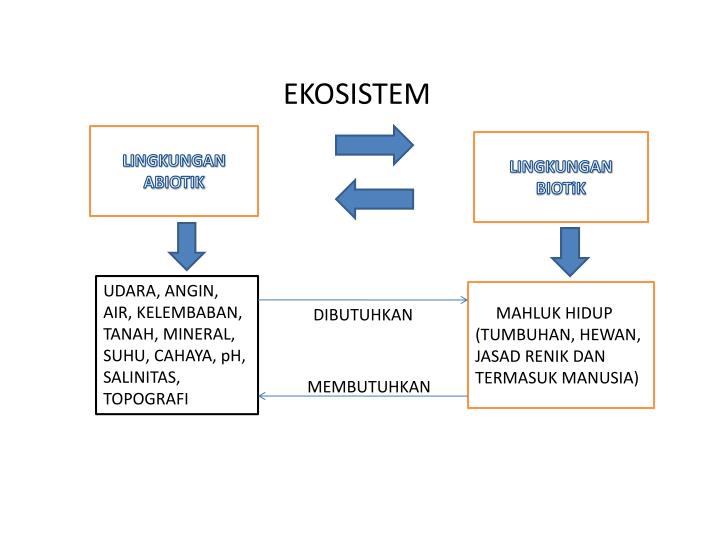 ekosistem