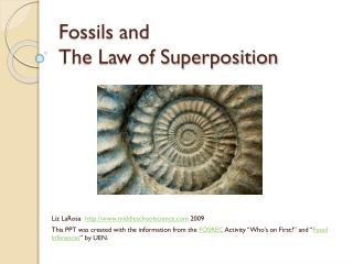 fossils and the law of superposition