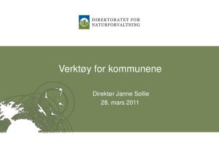 verkt y for kommunene