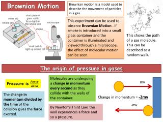 Brownian Motion