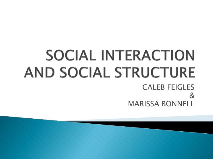 social interaction and social structure