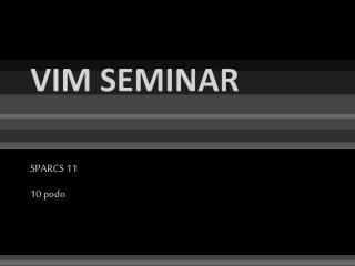 vim seminar