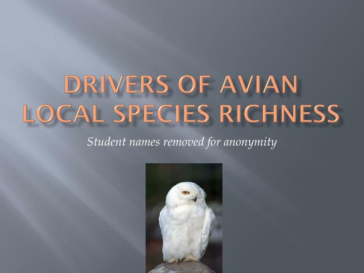 drivers of avian local species richness
