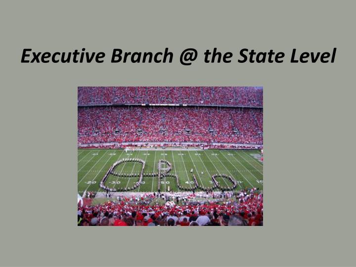 executive branch @ the state level
