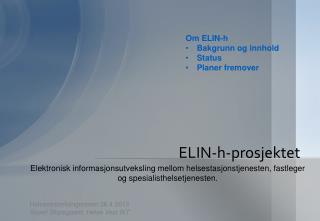 elin h prosjektet