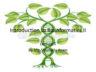 Introduction to Bioinformatics II