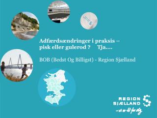 adf rds ndringer i praksis pisk eller gulerod tja bob bedst og billigst region sj lland