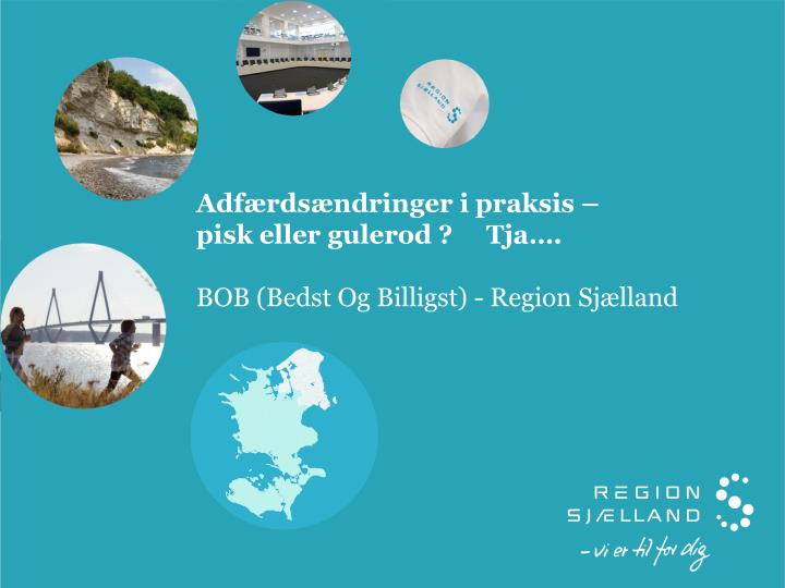 adf rds ndringer i praksis pisk eller gulerod tja bob bedst og billigst region sj lland