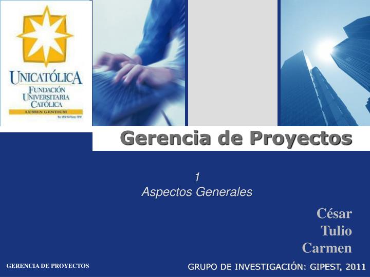 gerencia de proyectos