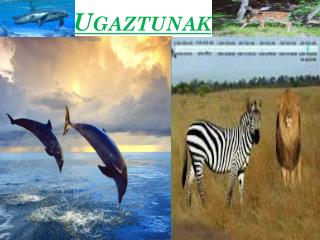 ugaztunak
