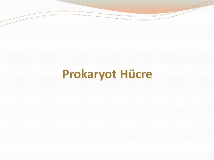 prokaryot h cre