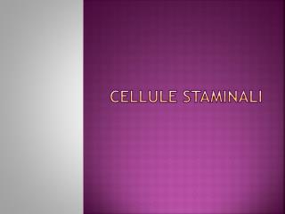 cellule staminali