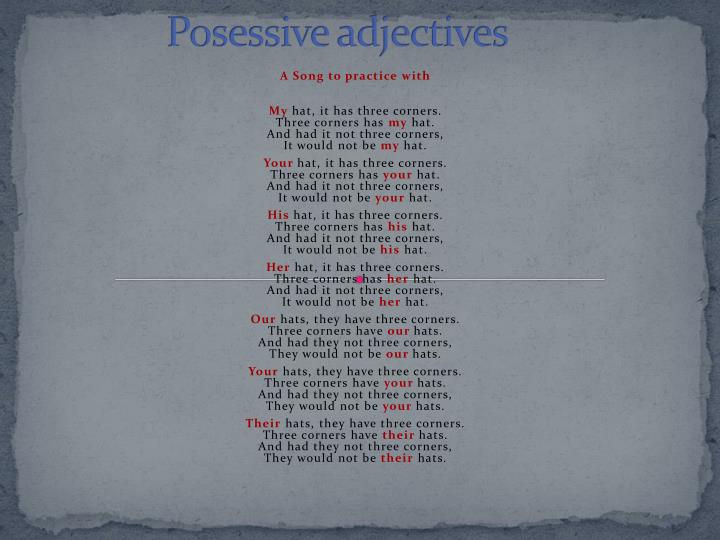 posessive adjectives