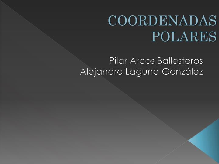 coordenadas polares
