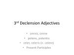 3 rd Declension Adjectives - slide 1