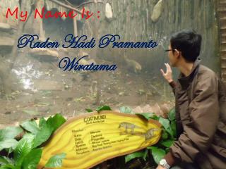 my name is