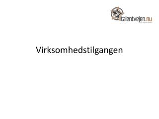 virksomhedstilgangen