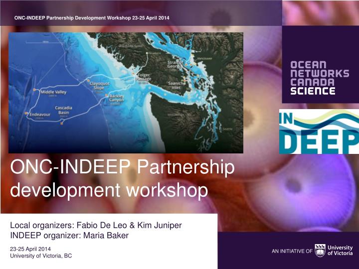 onc indeep partnership development workshop