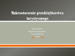 makrootoczenie przedsi biorstwa turystycznego