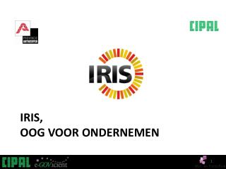 iris oog voor ondernemen