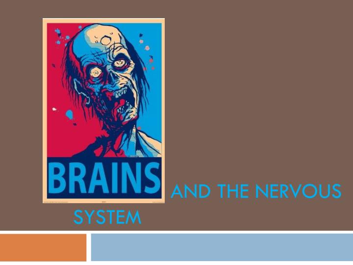 the brain and the nervous system