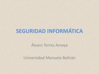 seguridad inform tica
