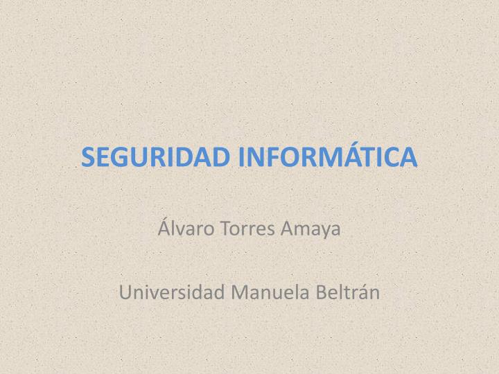 seguridad inform tica