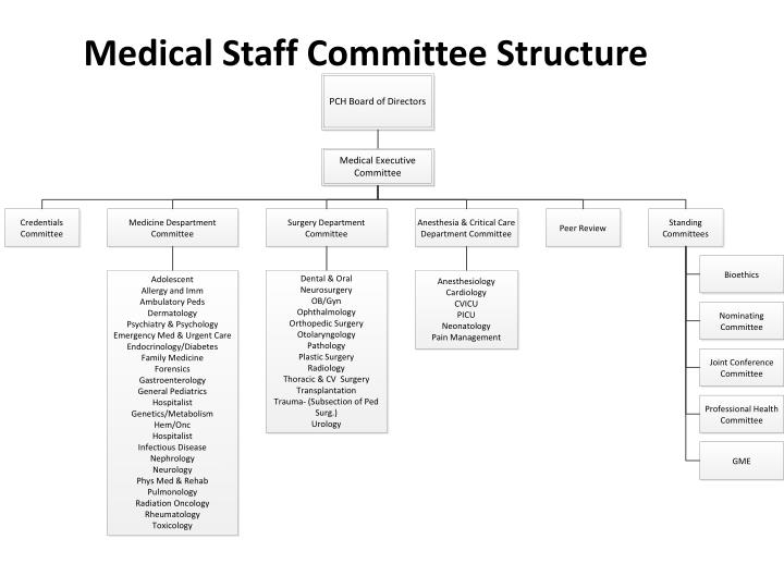medical staff committee structure