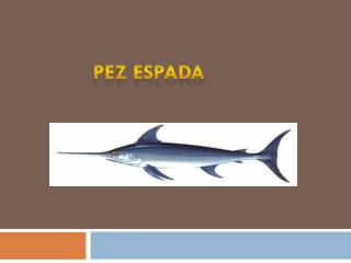 pez espada