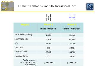 Phase 2 : 1 million neuron STM Navigational Loop