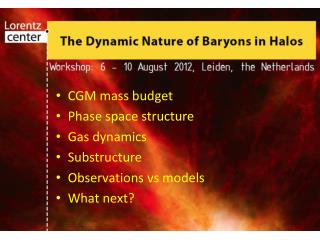 CGM mass budget Phase space structure Gas dynamics Substructure Observations vs models What next?