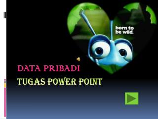 data pribadi