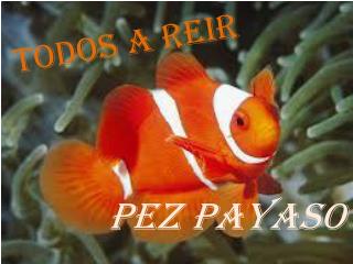 pez payaso