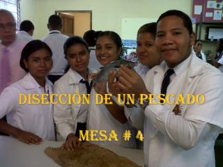 disecci n de un pescado mesa 4