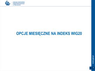 opcje miesi czne na indeks wig20