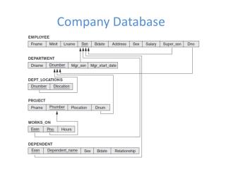 Company Database