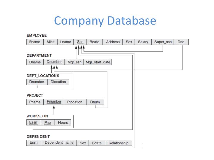 company database
