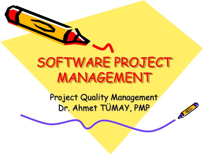 software project management